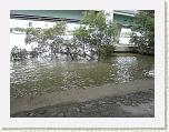 Brisbane River bei Flut.JPG